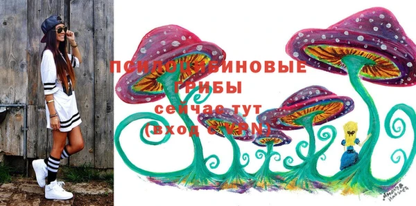a pvp Верхний Тагил
