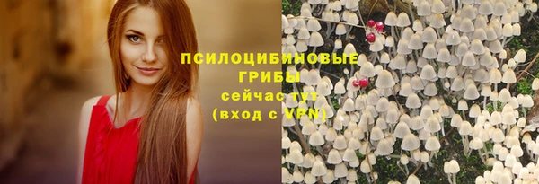 прущая мука Верея
